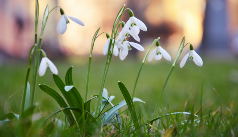 Apartmánové ubytování v Koutech  Loučná nad Desnou